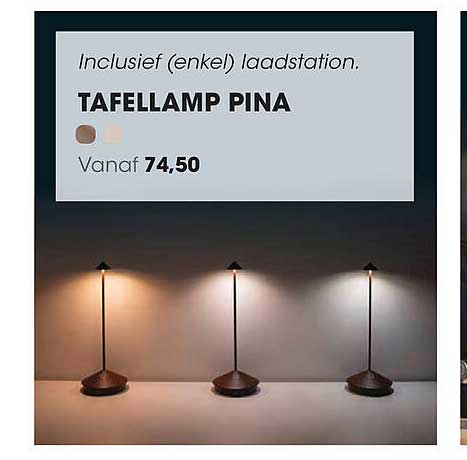 TAFELLAMP PINA