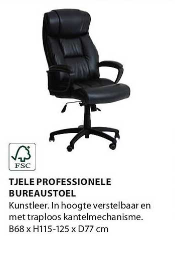 TJELE PROFESSIONELE BUREAUSTOEL