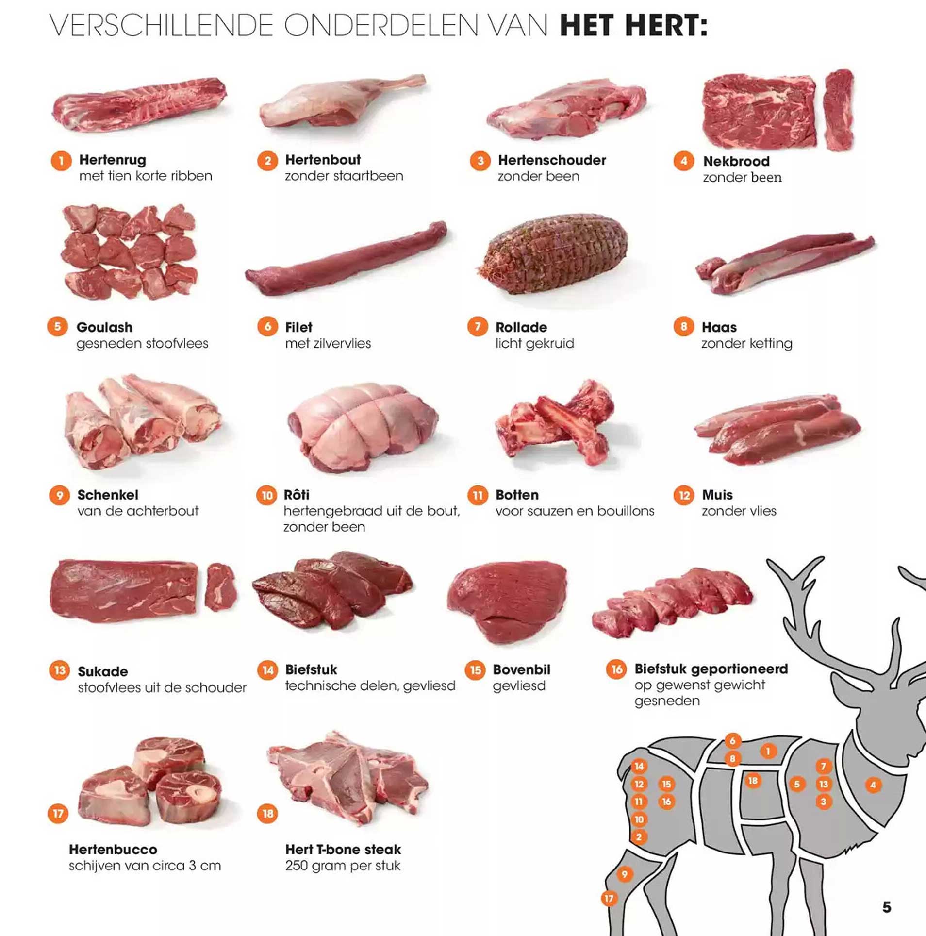 Verschillende onderdelen van het hert