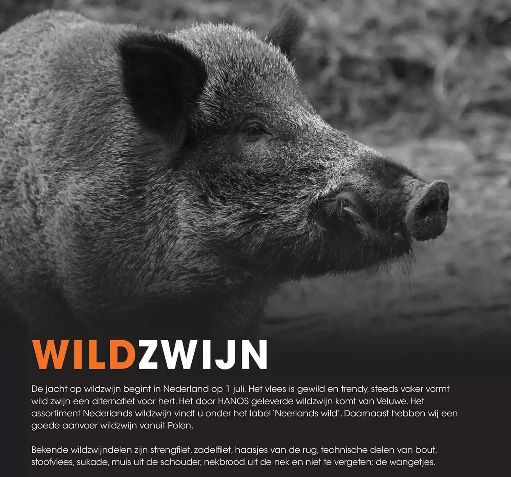 WILDZWIJN