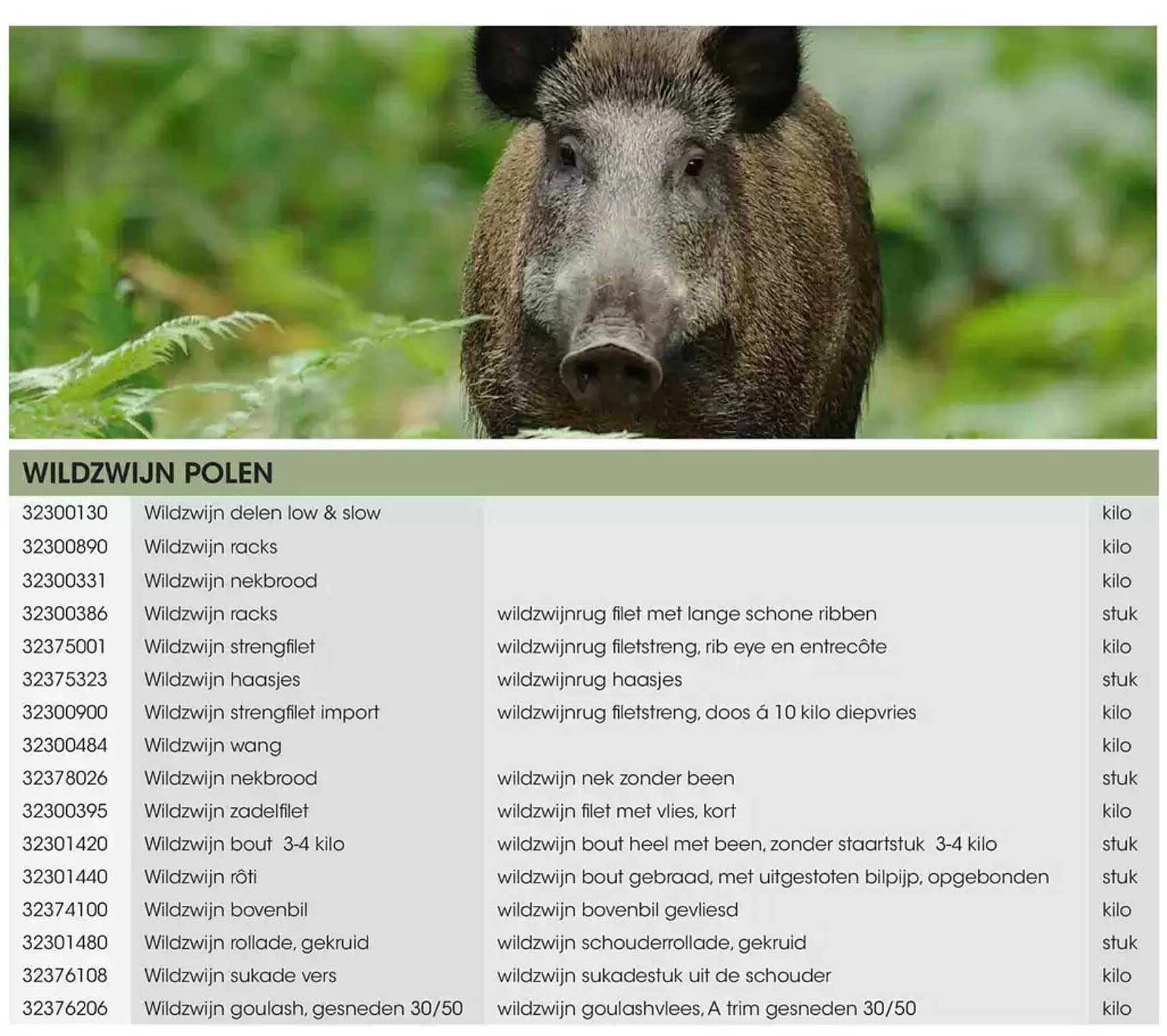 Wildzwijn Polen