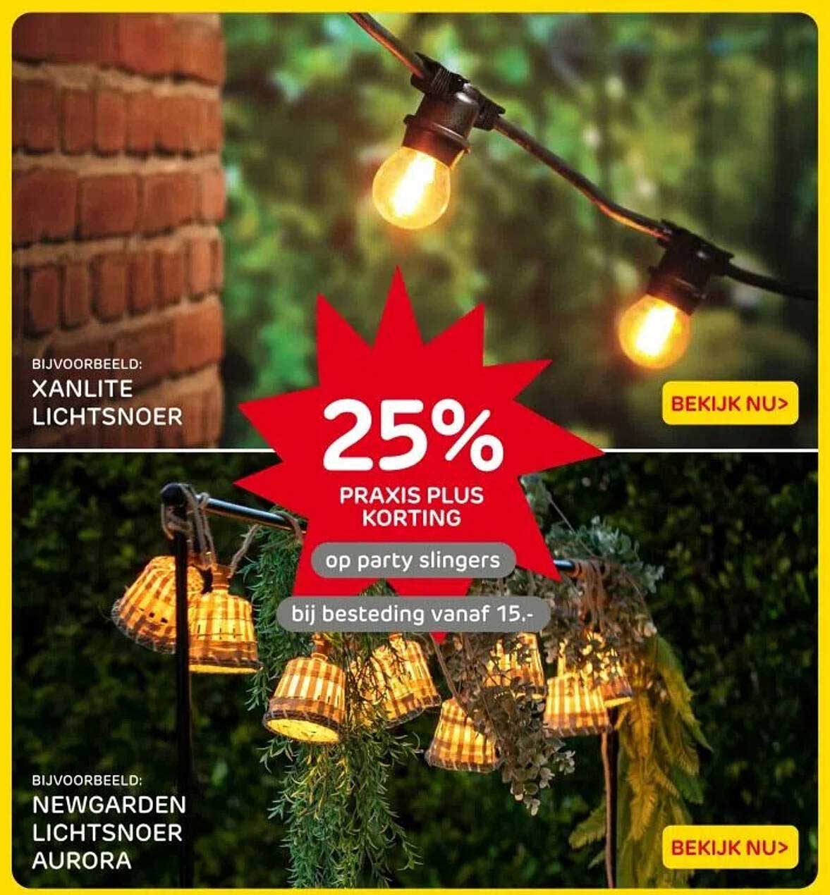 25% PRAKIS PLUS KORTING op party slingers bij besteding vanaf 15,-