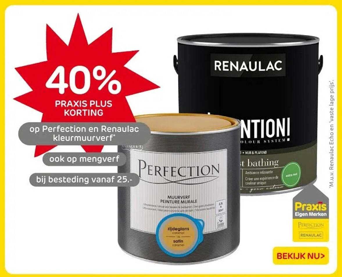 40% PRAKIS PLUS KORTING op Perfection en Renauac kleurverf