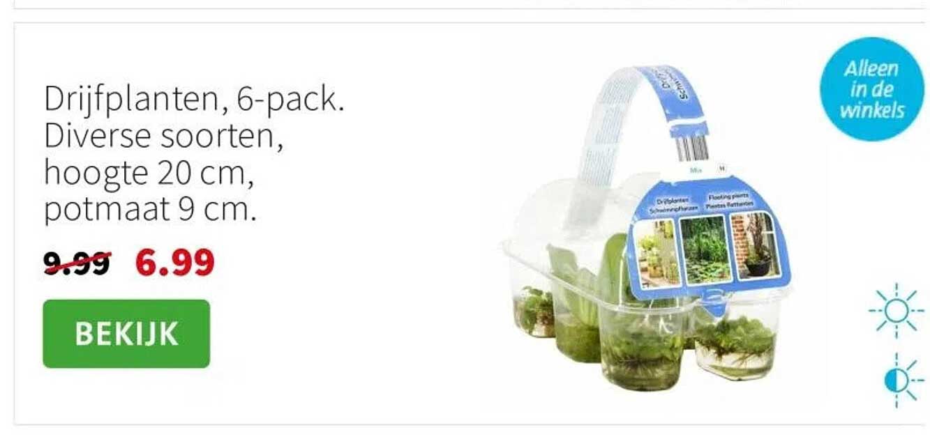 Drijfplanten, 6-pack. Diverse soorten, hoogte 20 cm, potmaat 9 cm.