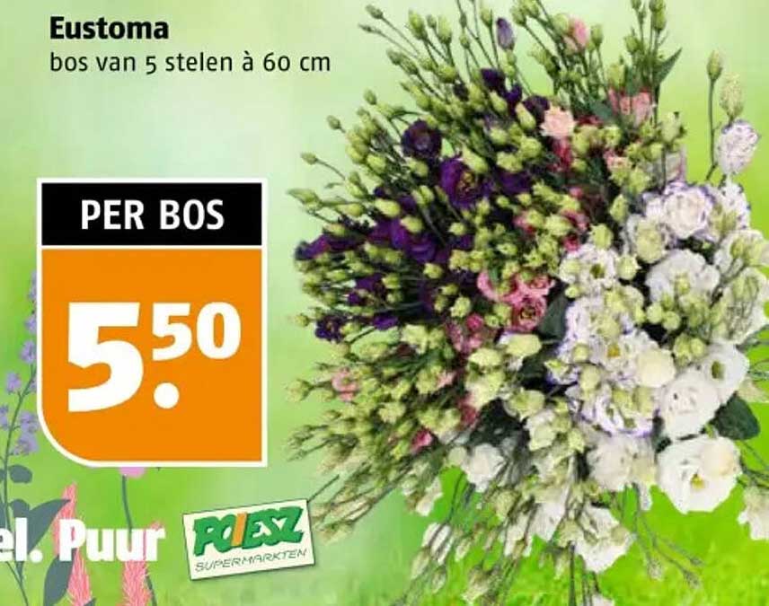 Eustoma bos van 5 stelen à 60 cm