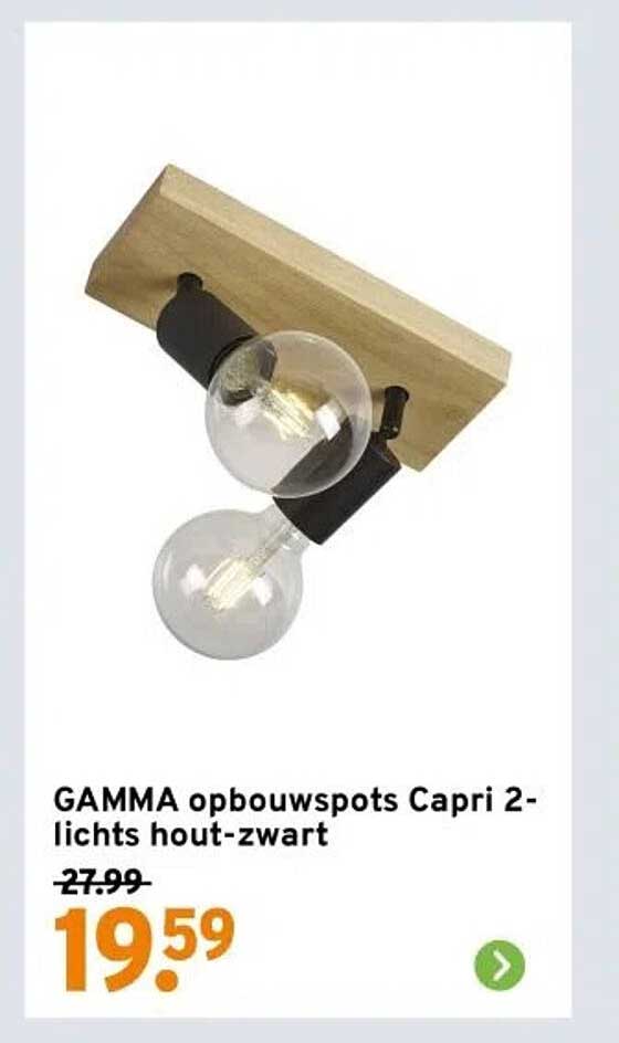 GAMMA opbouwspots Capri 2-lichten hout-zwart