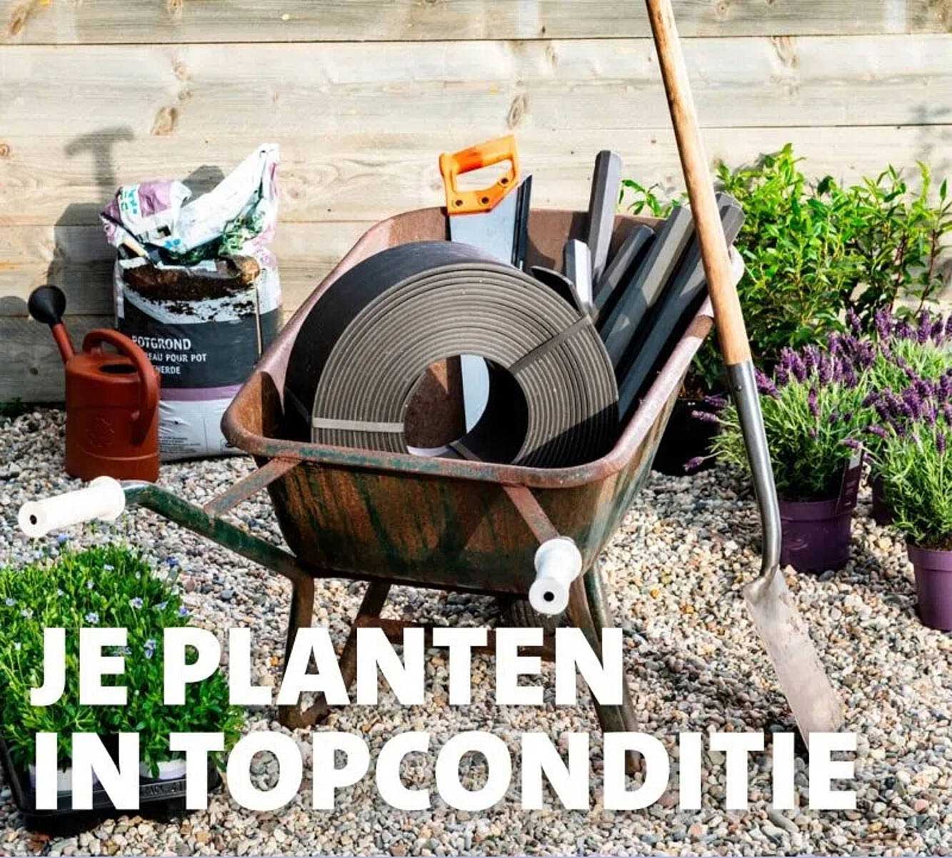 JE PLANTEN IN TOPCONDITIE