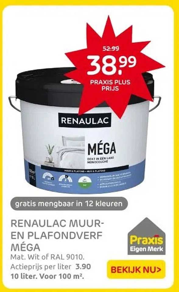 RENAULAC MUUR- EN PLAFONDVERF MÉGA
