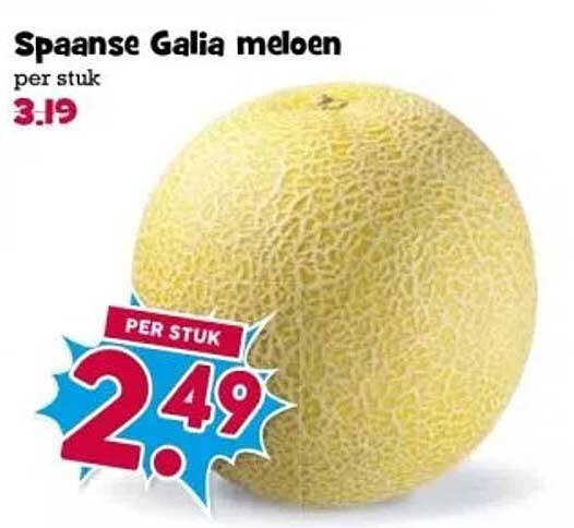 Spaans Galia meloen