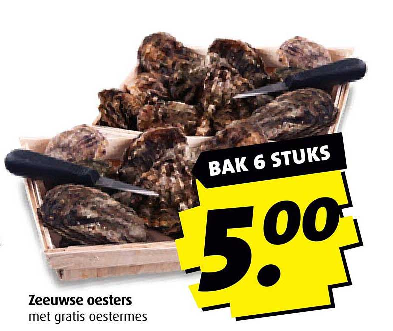 Zeeuwse oesters met gratis oestermes