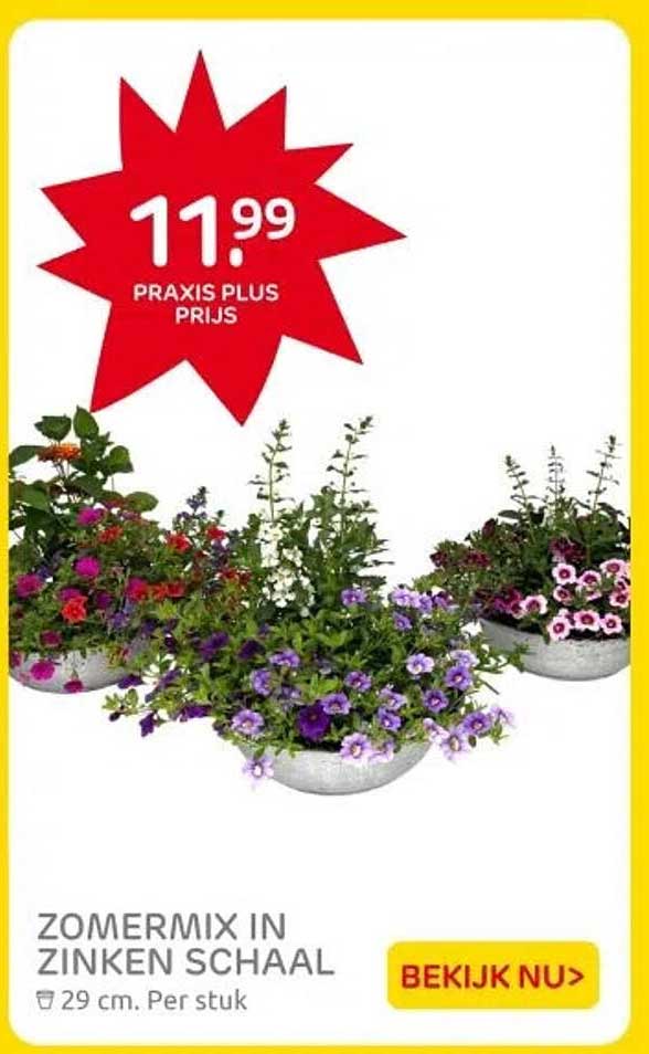 ZOMERMIX IN ZINKEN SCHAAL