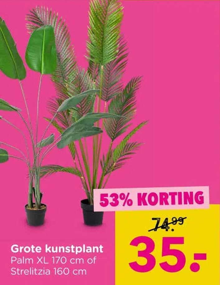 Grote kunstplant Palm XL 170 cm of Strelitzia 160 cm 53% KORTING