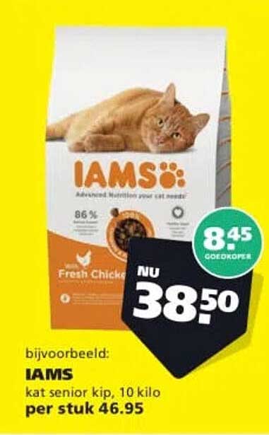 IAMS kat senior kip, 10 kilo