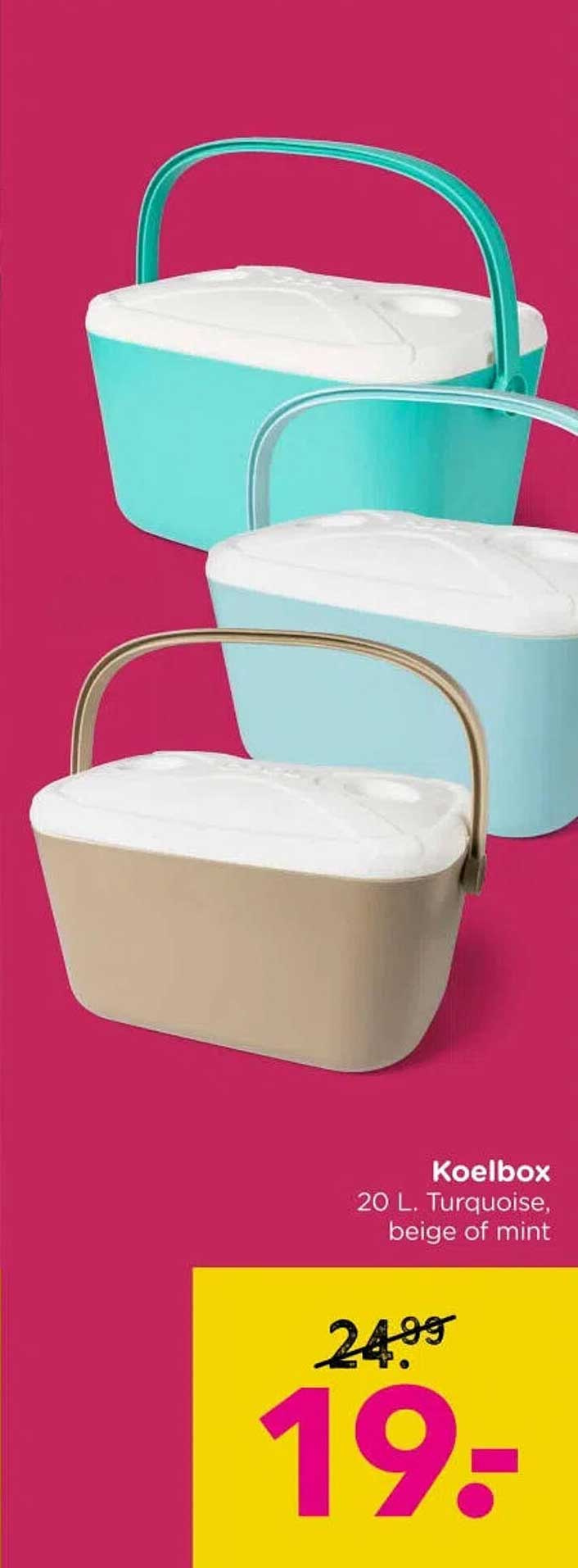 Koelbox 20 L. Turquoise, beige of mint