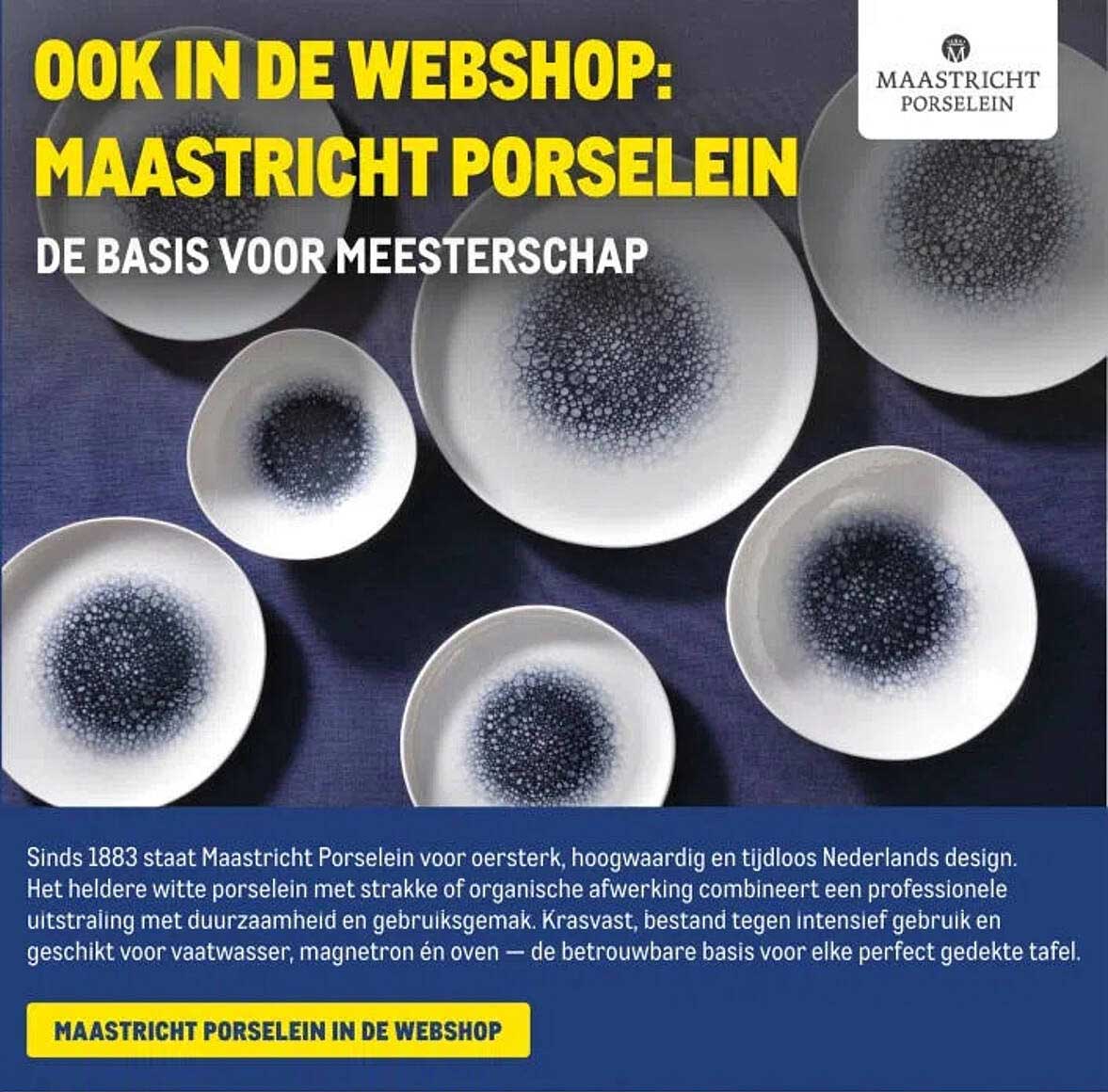 OOK IN DE WEBSHOP: MAASTRICHT PORSELEIN