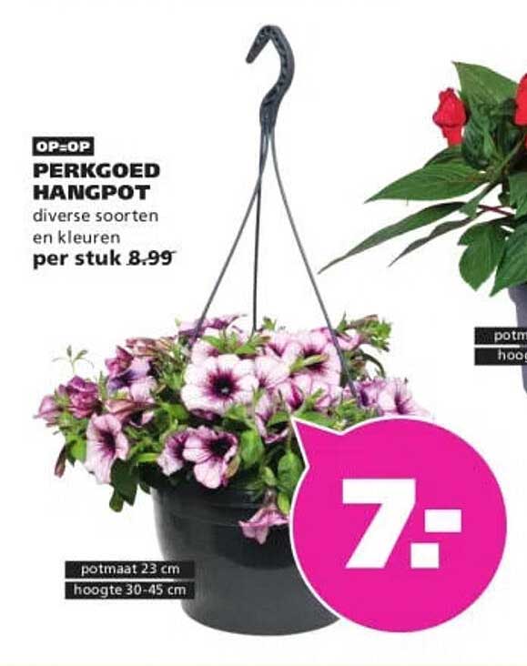 OP=OP PERKGOED HANGPOT diverse soorten en kleuren per stuk 8.99