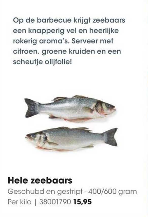 Hele zeebaars
