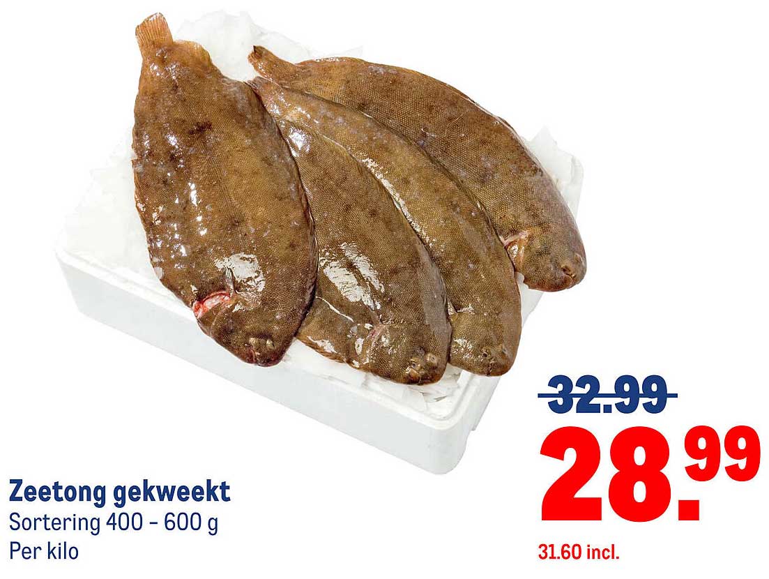 Zeetong gekweekt, Sortering 400 - 600 g
