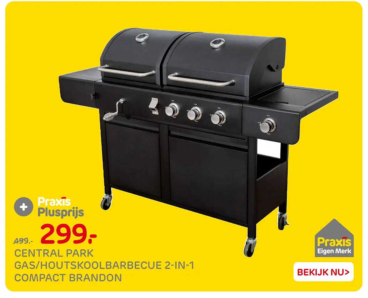 CENTRAL PARK GAS/HOUTSKOOLBARBECUE 2-IN-1 COMPACT BRANDON