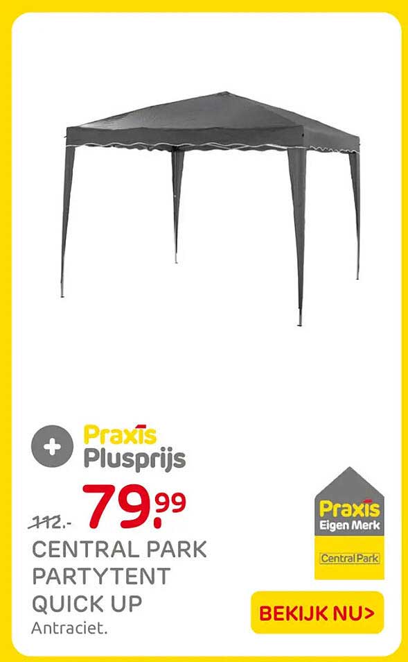 CENTRAL PARK PARTYTENT QUICK UP Antraciet. Praxis Plusprijs