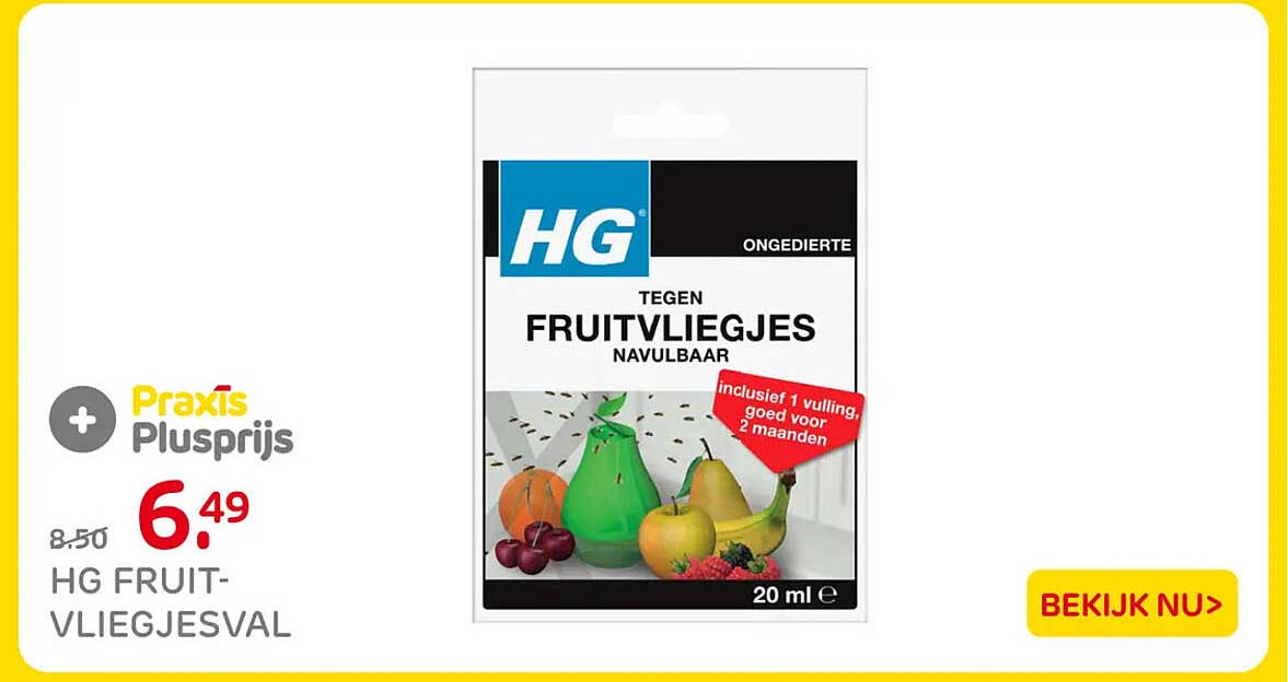 HG FRUITVLIEGJESVAL