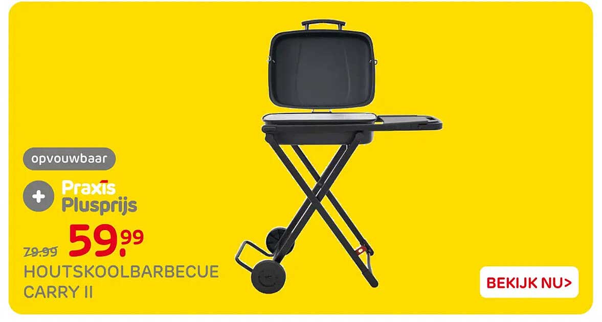 HOUTSKOOLBARBECUE CARRY II