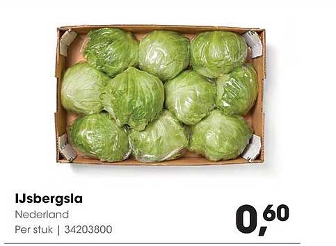IJsbergsla