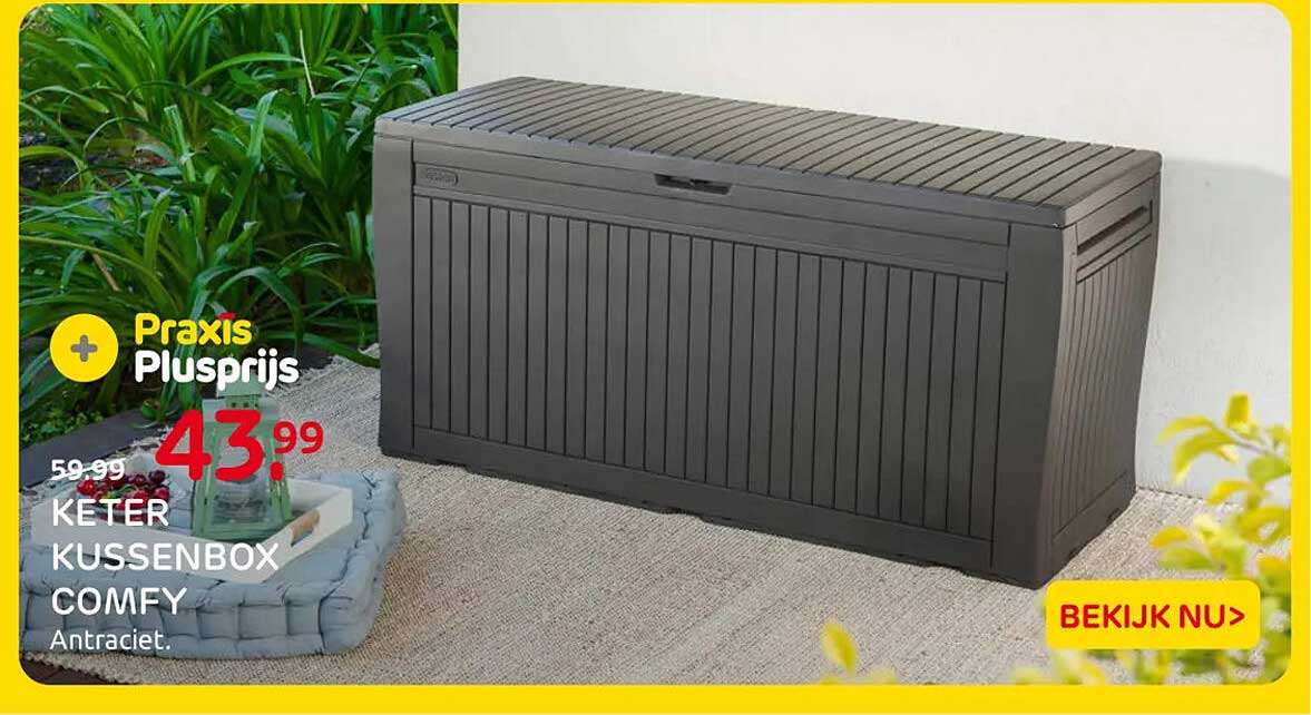 KETER KUSSENBOX COMFY Antraciet. Praxis Plusprijs