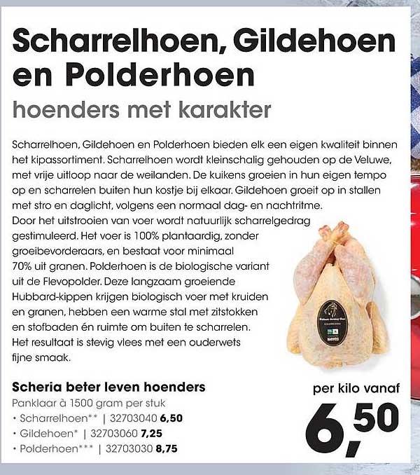 Scharrelhoen, Gildehoen en Polderhoen