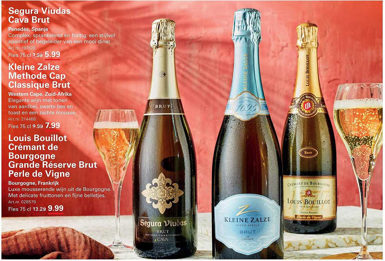 Segura Viudas Cava Brut