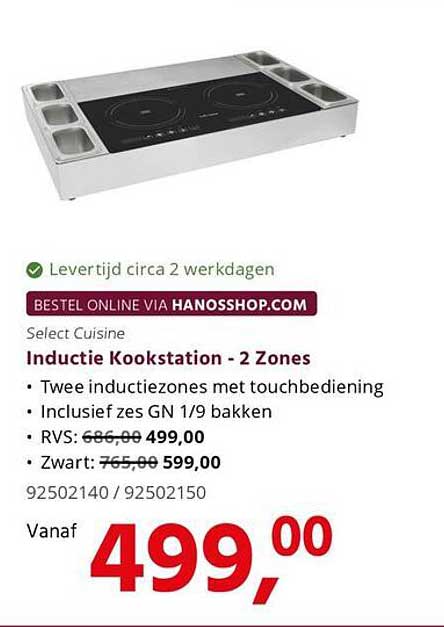 Select Cuisine Inductie Kookstation - 2 Zones