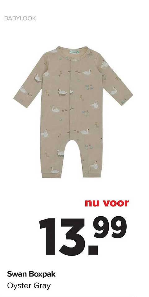 Swan Boxpak Oyster Gray