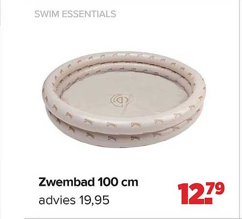 Zwembad 100 cm