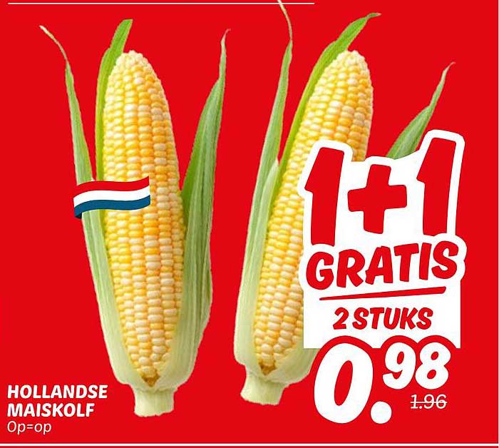 HOLLANDSE MAISKOLF