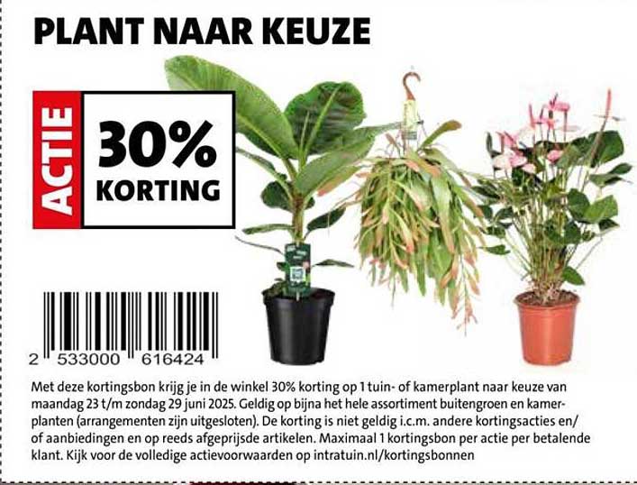 PLANT NAAR KEUZE
