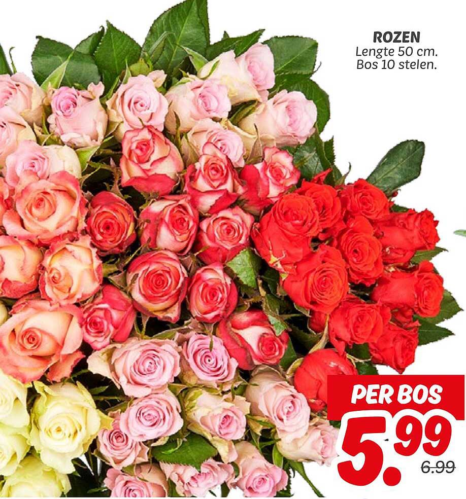 ROZEN