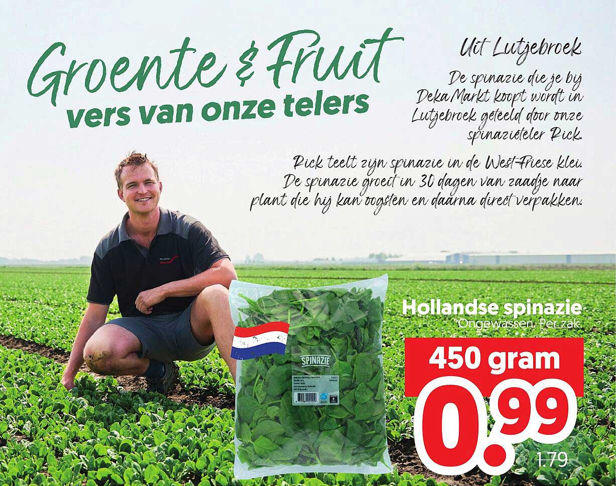 Hollandse spinazie
