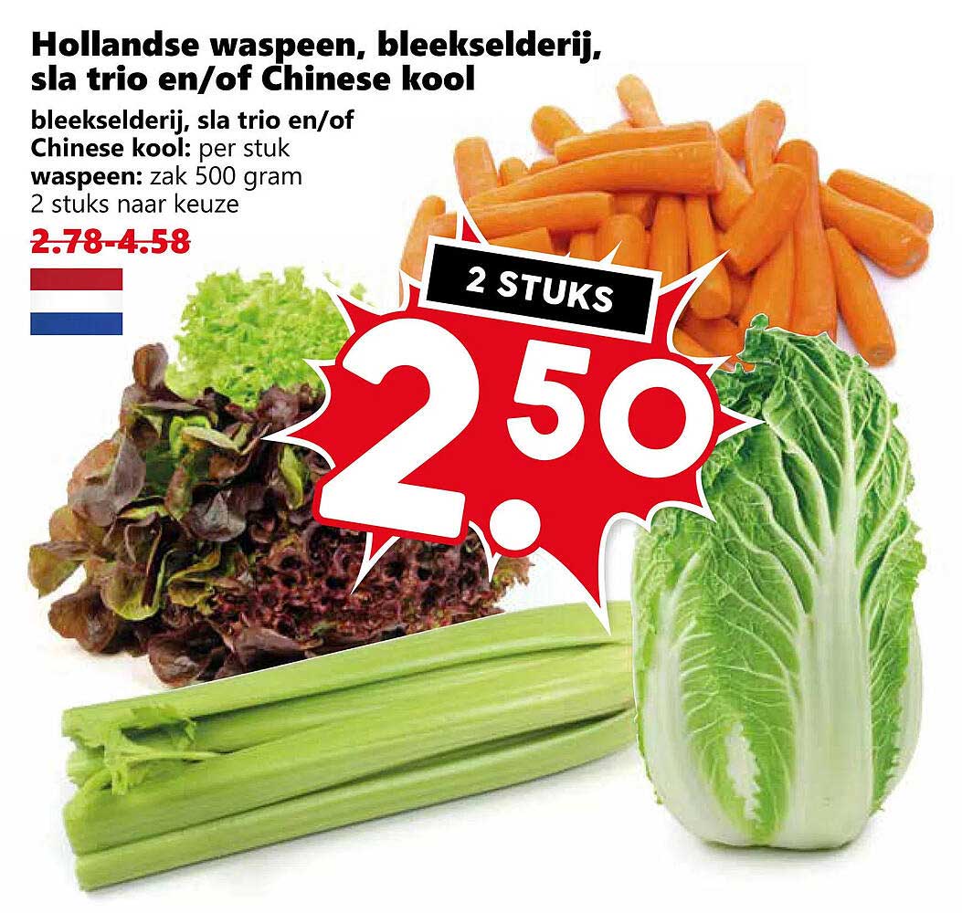 Hollandse waspeen, bleekselderij, sla trio en/of Chinese kool 2 stuks