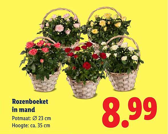 Rozenboeket in mand