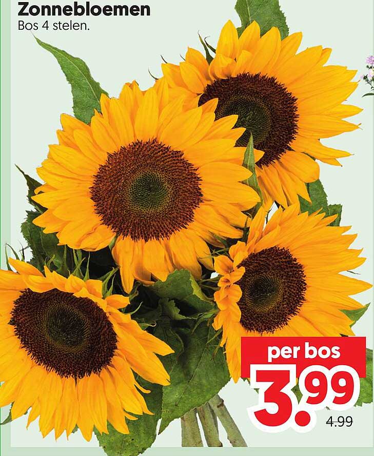 Zonnebloemen Bos 4 stelen