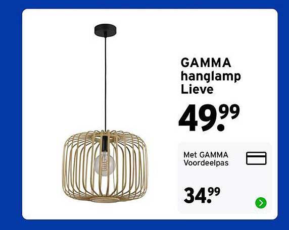 GAMMA hanglamp Lieve