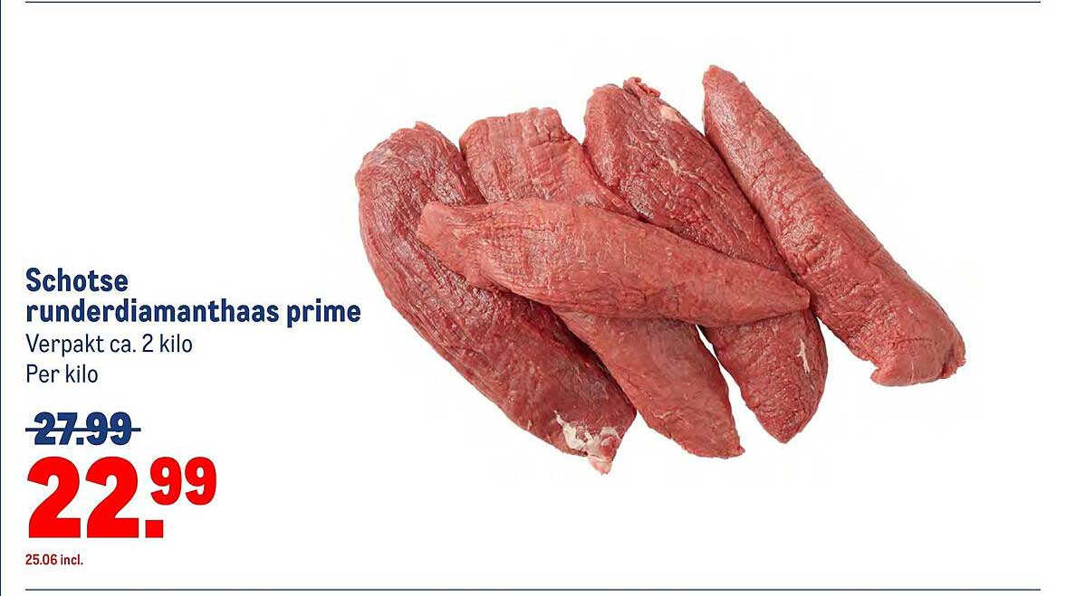 Schotse runderdiamanthaas prime