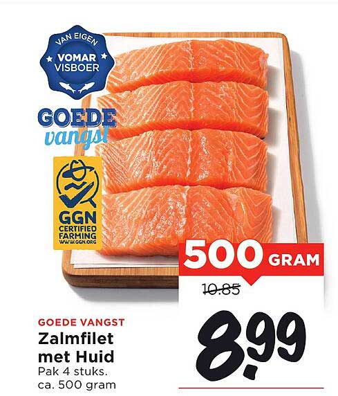 Zalmfilet met Huid