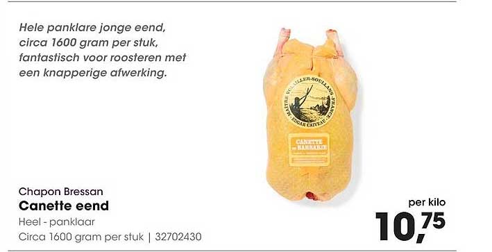 Canette eend