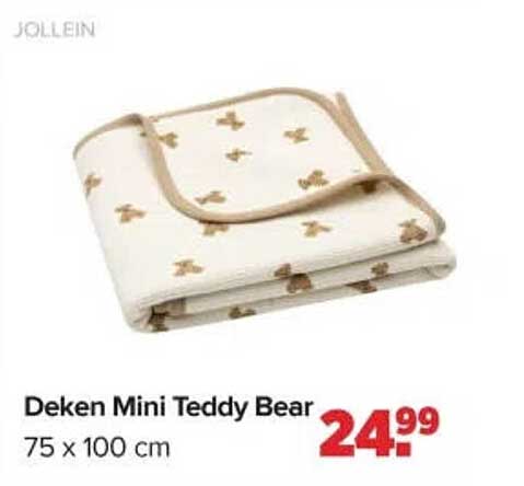 Deken Mini Teddy Bear