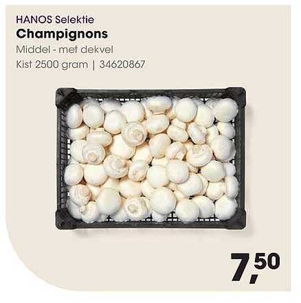 HANOS Selectie Champignons Middel - met deksel