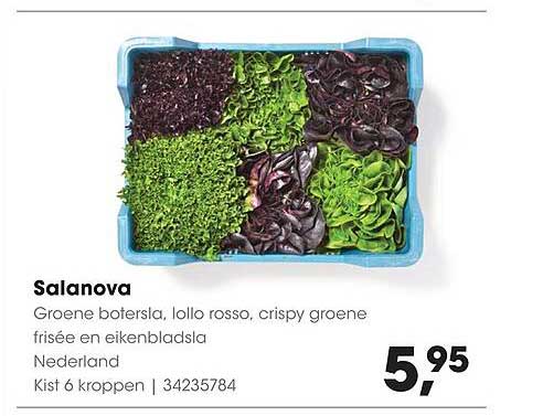 Salanova