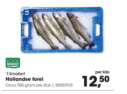 't Smallert Hollandse forel