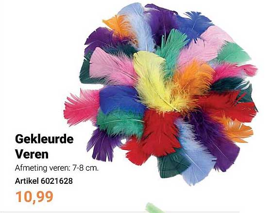 Gekleurde Veren