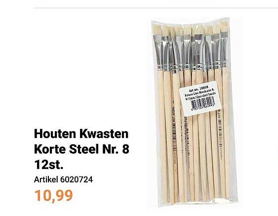 Houten Kwasten Korte Steel Nr. 8 12st.